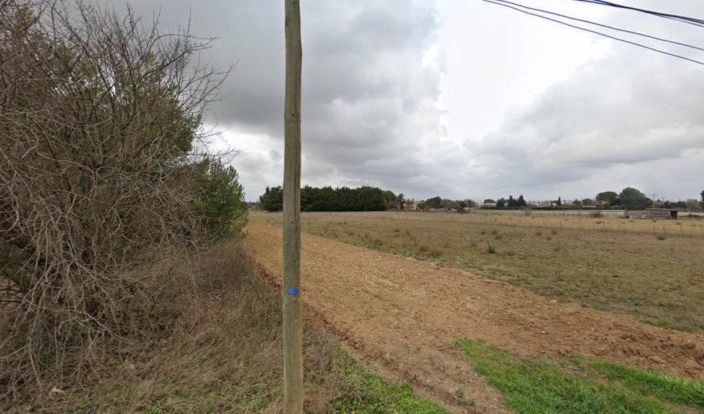 Retrouvez toutes les informations de contacts et horaires d&rsquo;ouverture pour Relais Pickup LE FRUIT DE CAMARGUE situé à Marsillargues dans le département Hérault (34). Pour effectuer envoyer vos colis (colissimo, chronopost, suivi colis), une gestion bancaire (banque postal, French Bank), [&hellip;]
