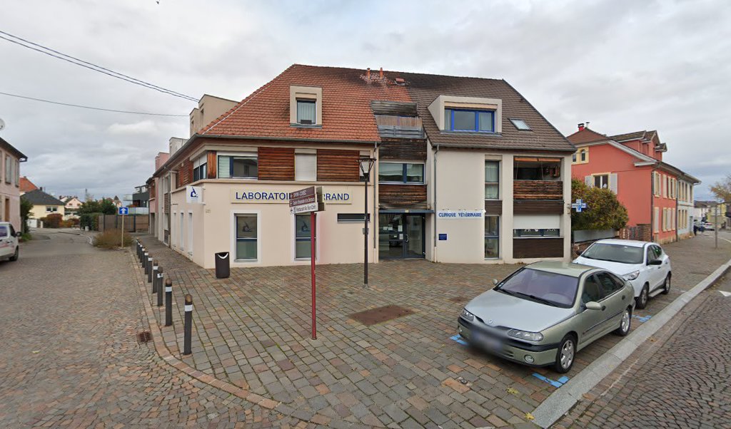 Retrouvez toutes les informations de contacts et horaires d&rsquo;ouverture pour La Poste WINTZENHEIM situé à Wintzenheim dans le département Haut-Rhin (68). Pour effectuer envoyer vos colis (colissimo, chronopost, suivi colis), une gestion bancaire (banque postal, French Bank), votre courrier (suivi [&hellip;]