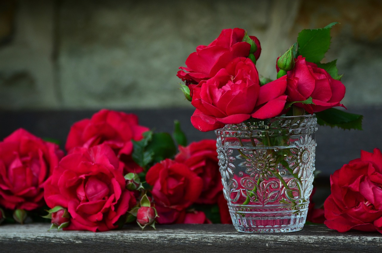 bouquet de roses rouges bouquet de roses rouges