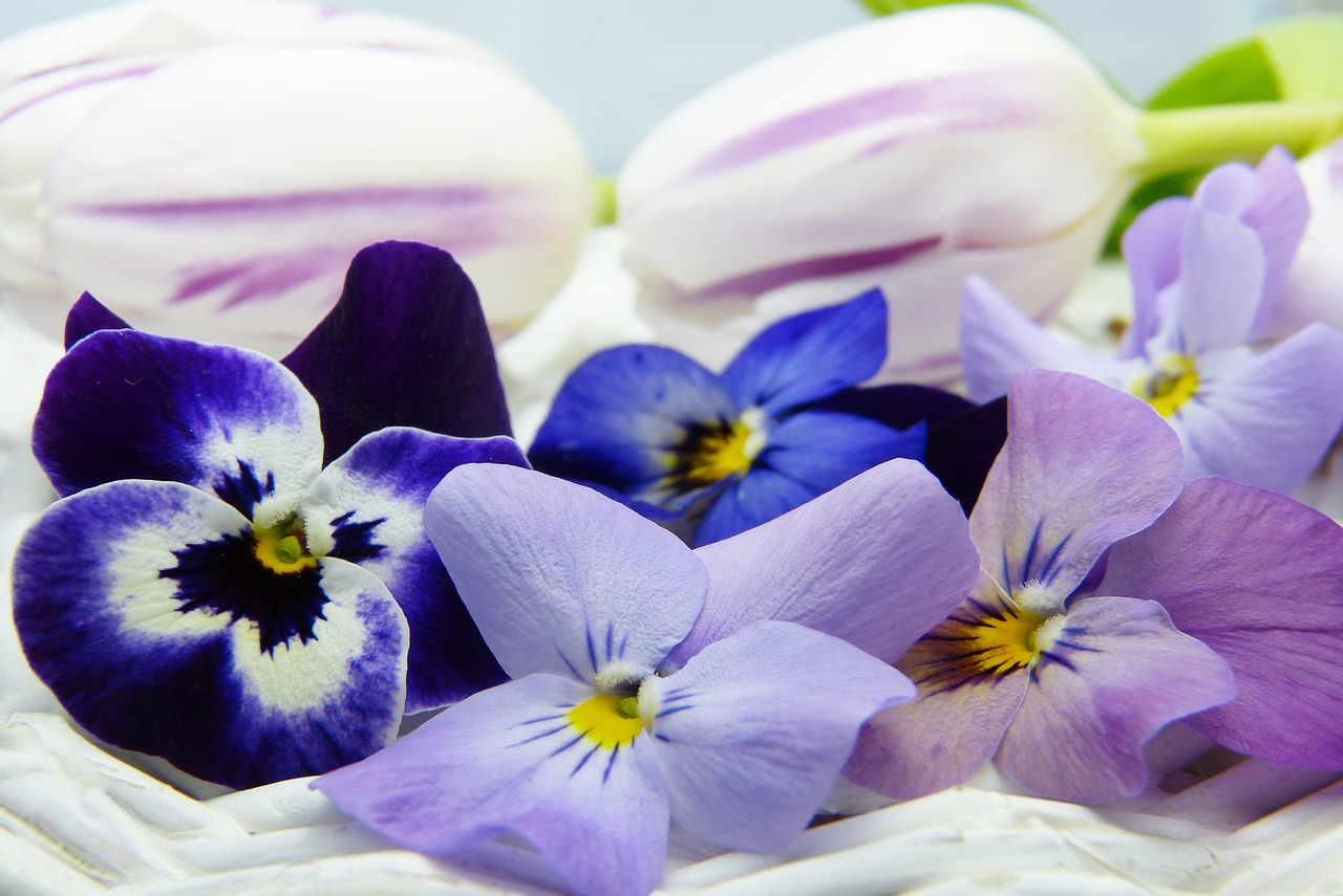 produits de beauté pour la fête des mères produits de beauté pour la fête des mères
