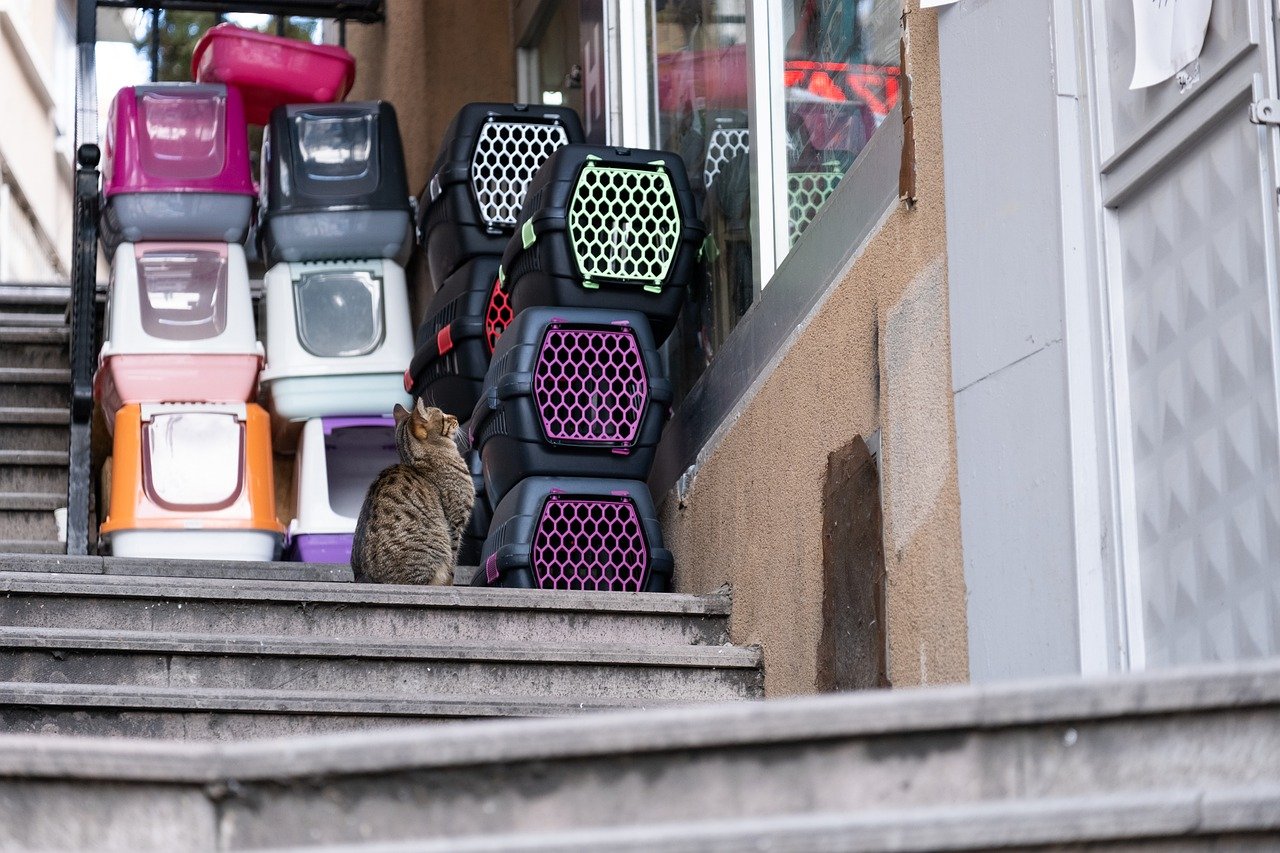 Transporteur